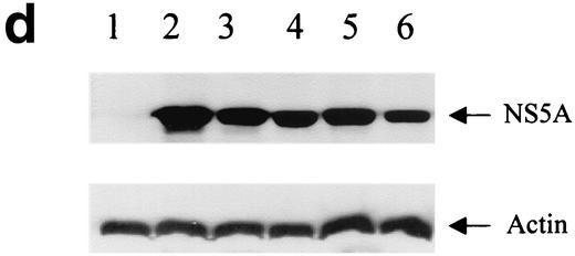 FIG.1.