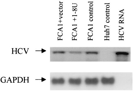 FIG. 5.