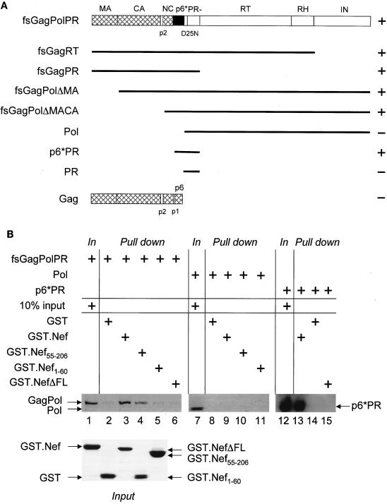 FIG. 2.