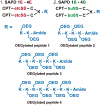 Scheme 1.