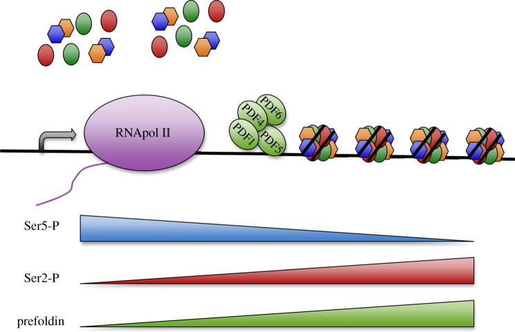 Figure 4.