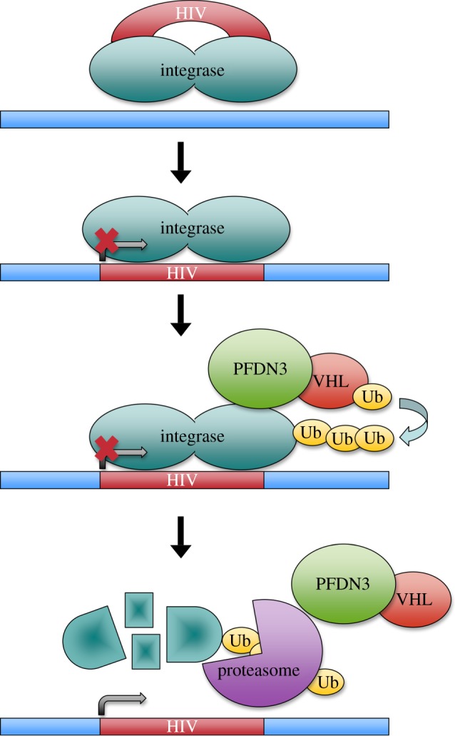 Figure 2.