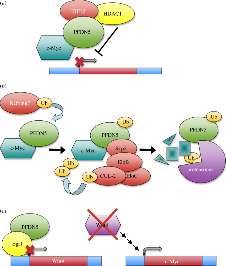 Figure 3.