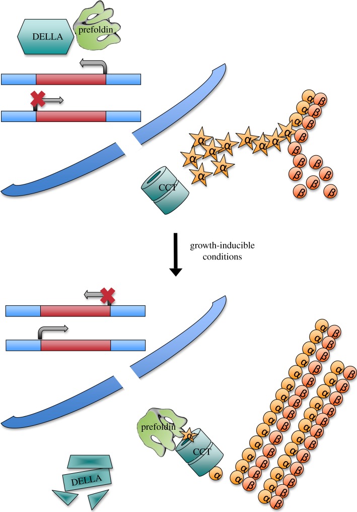 Figure 5.