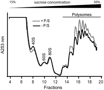 Fig. 6