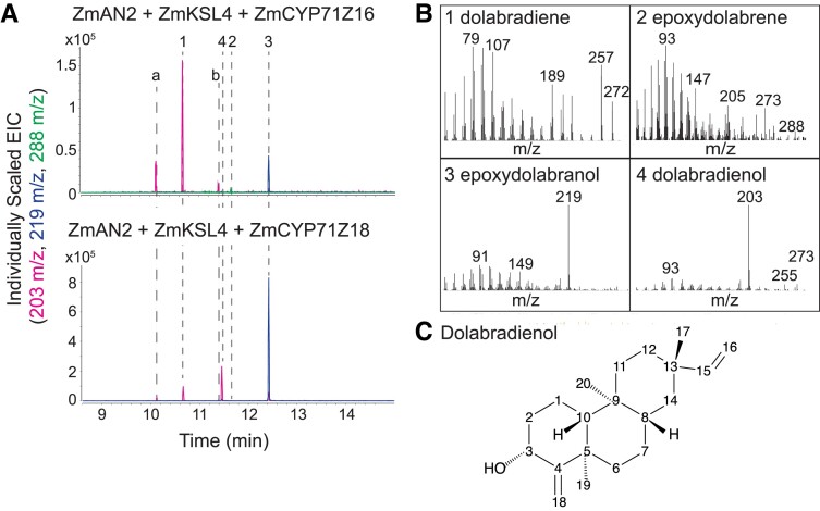 Figure 3.