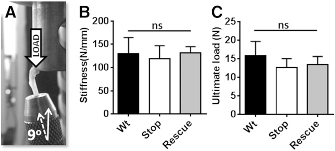 Fig. 6