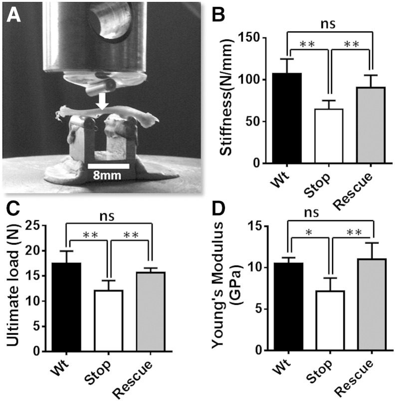 Fig. 3