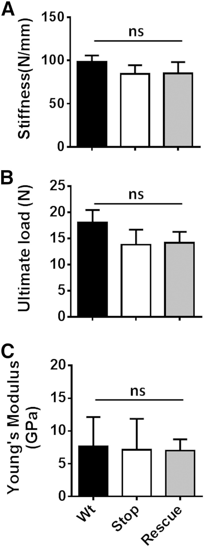 Fig. 4