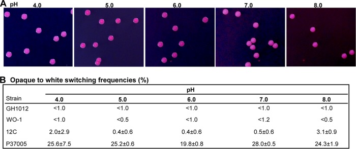 FIG 2