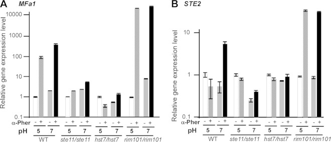 FIG 4