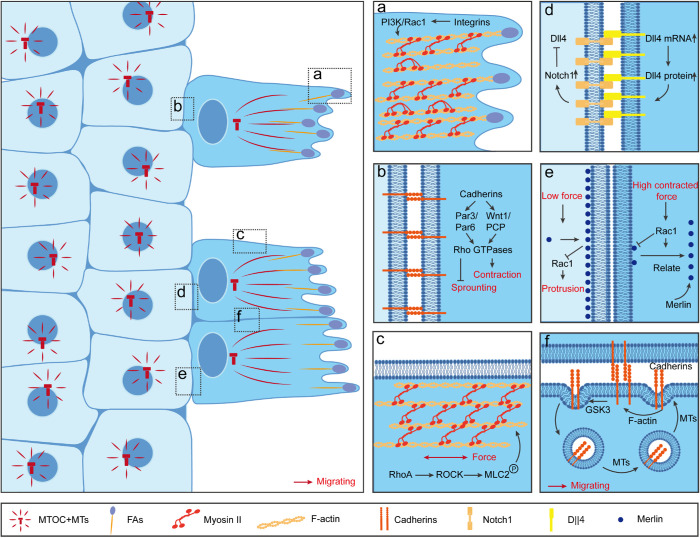 FIGURE 1: