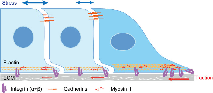 FIGURE 2: