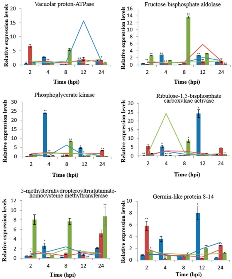 Figure 7