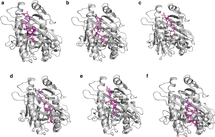 Fig. 6