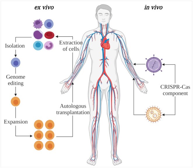 Figure 2.