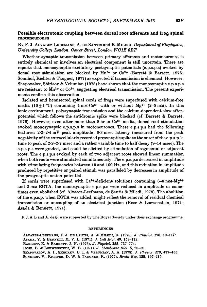 63P