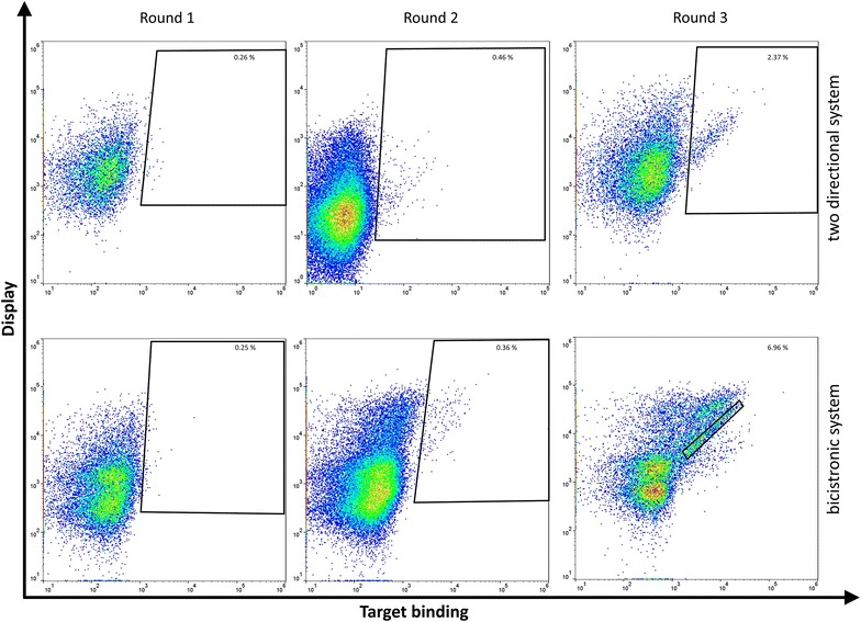 Fig. 3