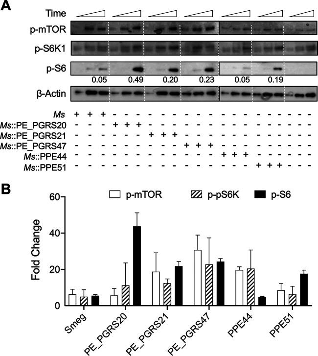 FIG 6