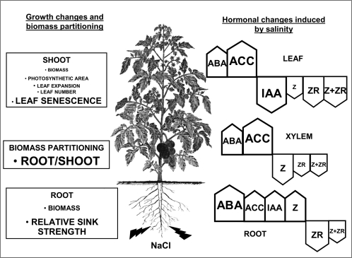 Fig. 9.