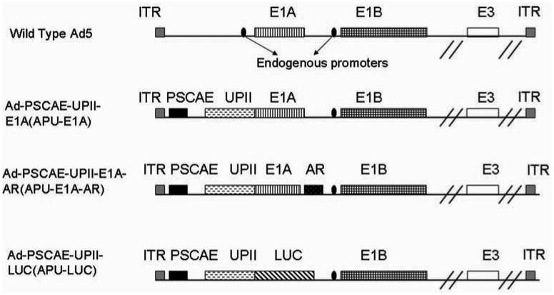 Fig. (1)