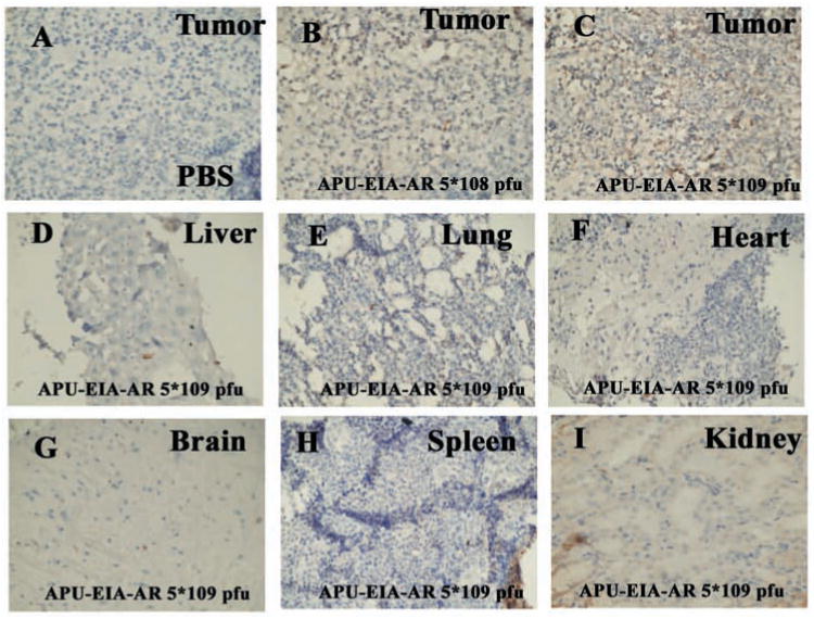 Fig. (4)