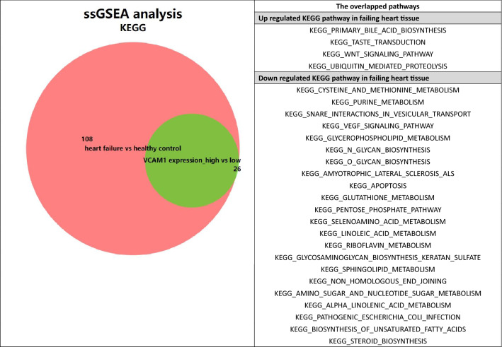 graphic file with name 41598_2021_98998_Tab2_HTML.jpg