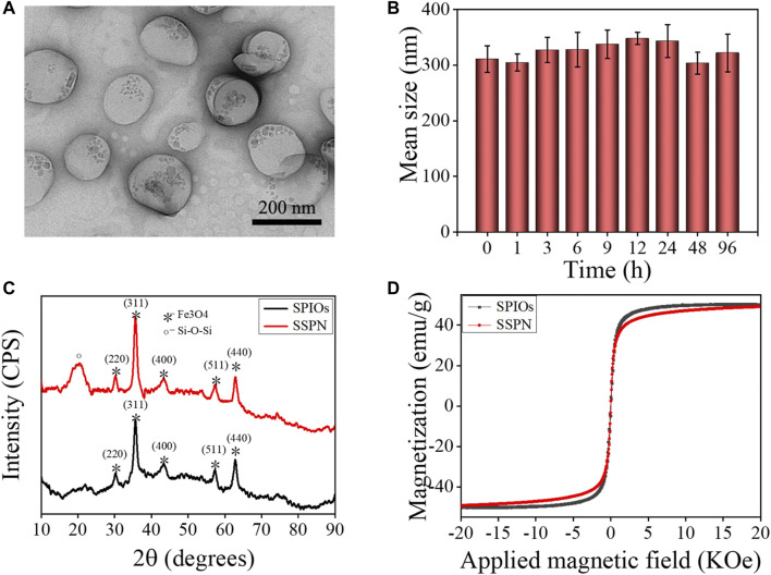 FIGURE 2