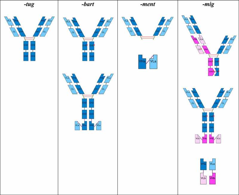 Schematic figures of some possible formats that -tug, -bart, -ment and -mig stems can have and that are described in the main text.