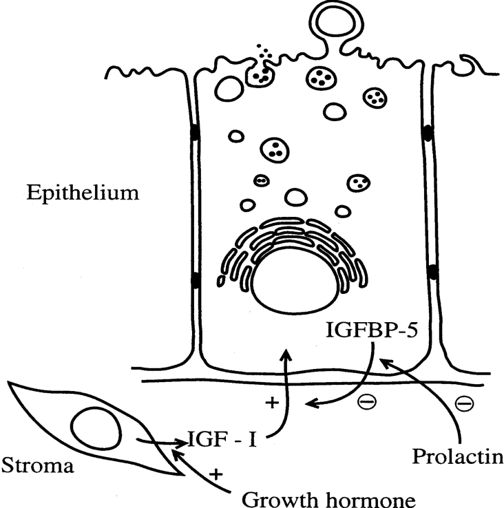 Figure 7