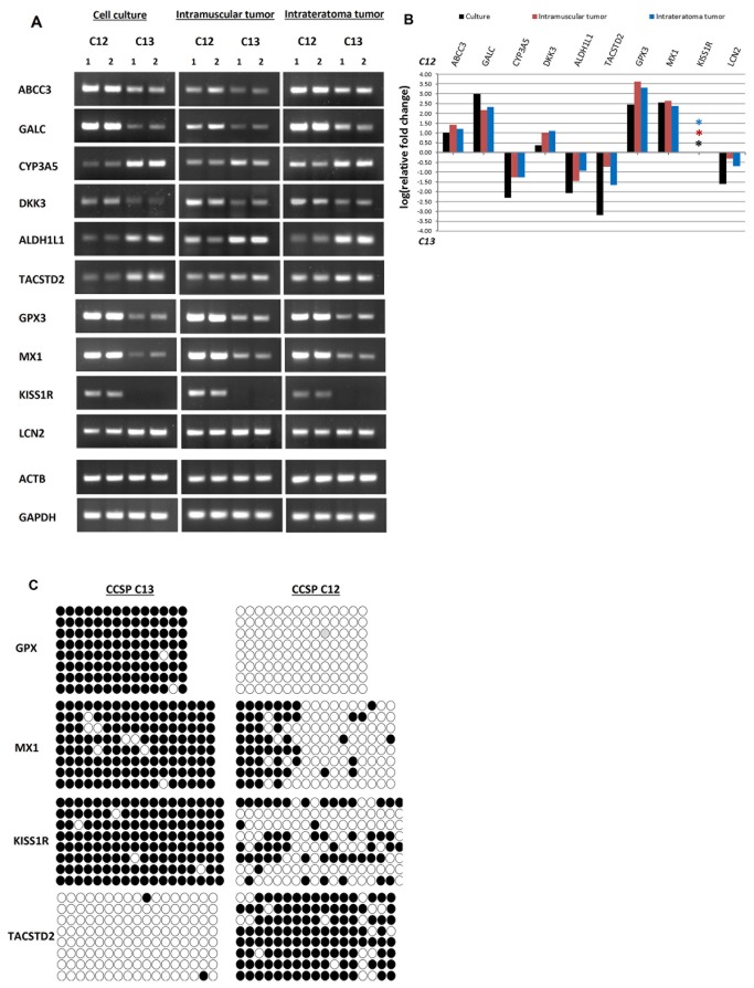 Figure 6