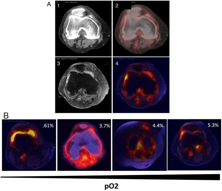 Figure 4