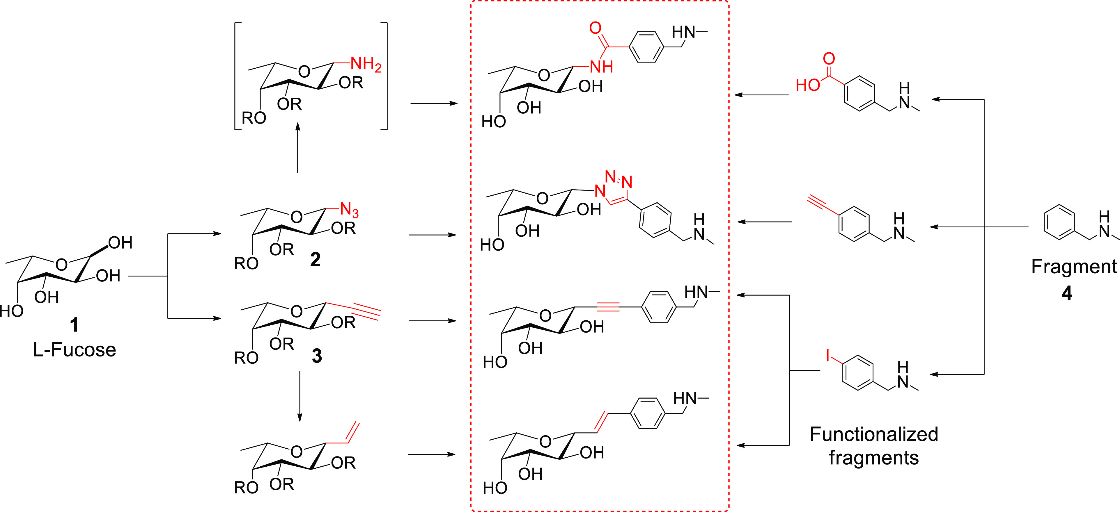 Scheme 1
