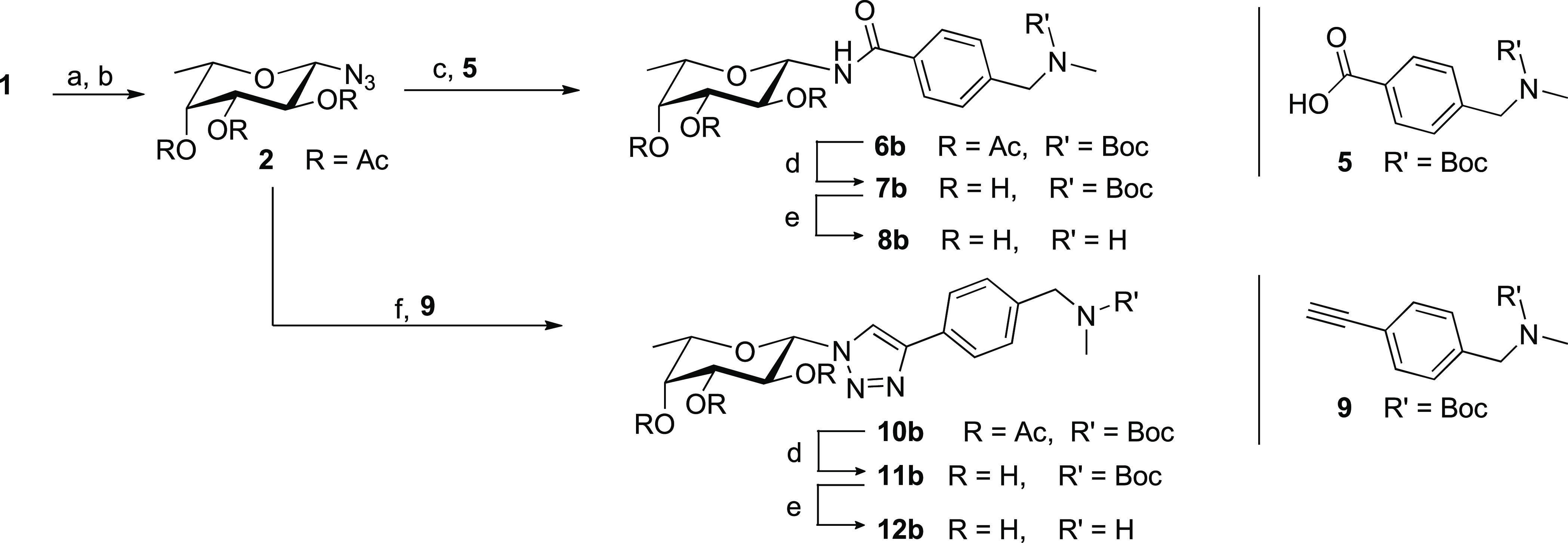Scheme 2