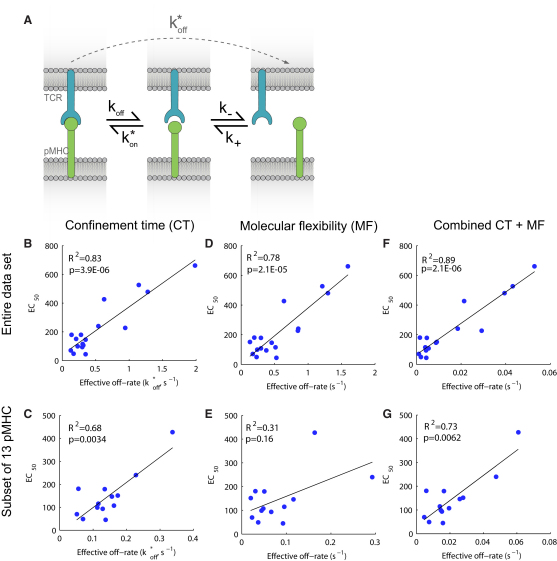 Figure 5