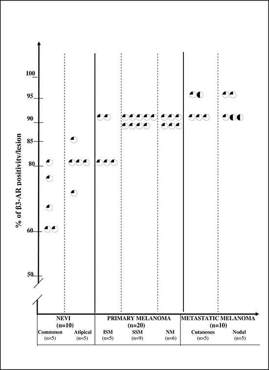 graphic file with name oncotarget-06-4615-t008.jpg