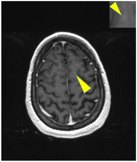 FIGURE 6: