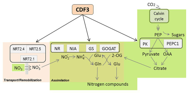 Figure 9