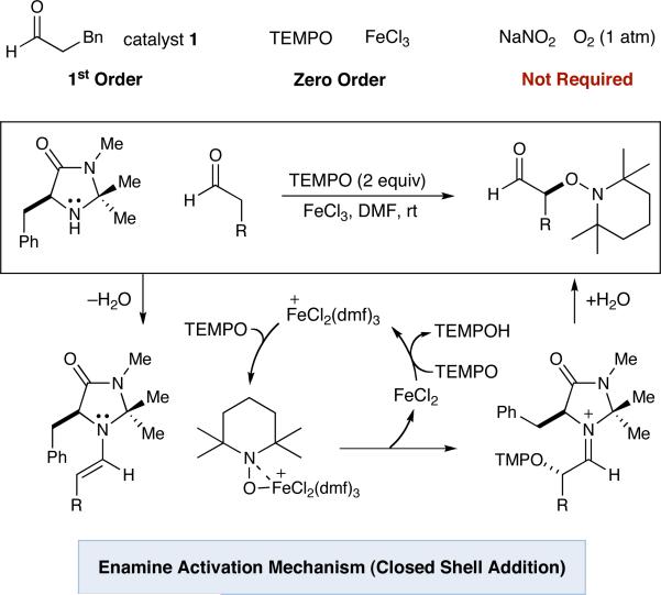 Scheme 5