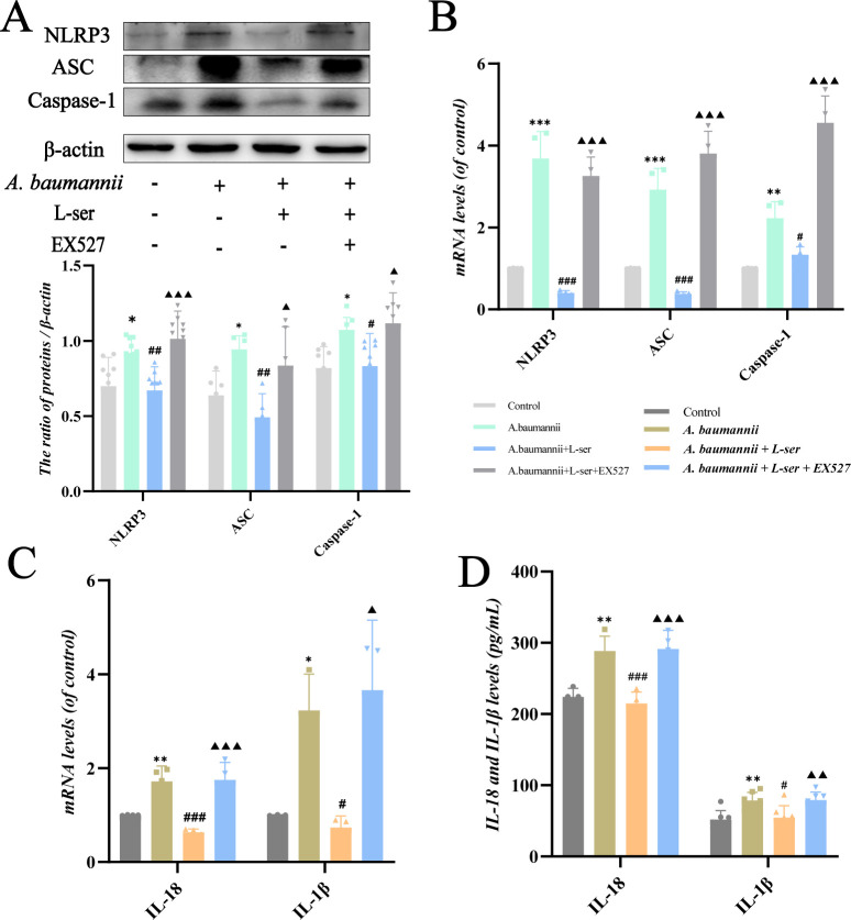 Fig 10