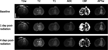 FIG. 4.