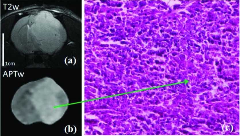 FIG. 5.