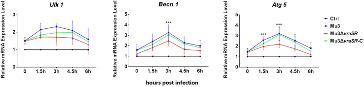 FIGURE 3