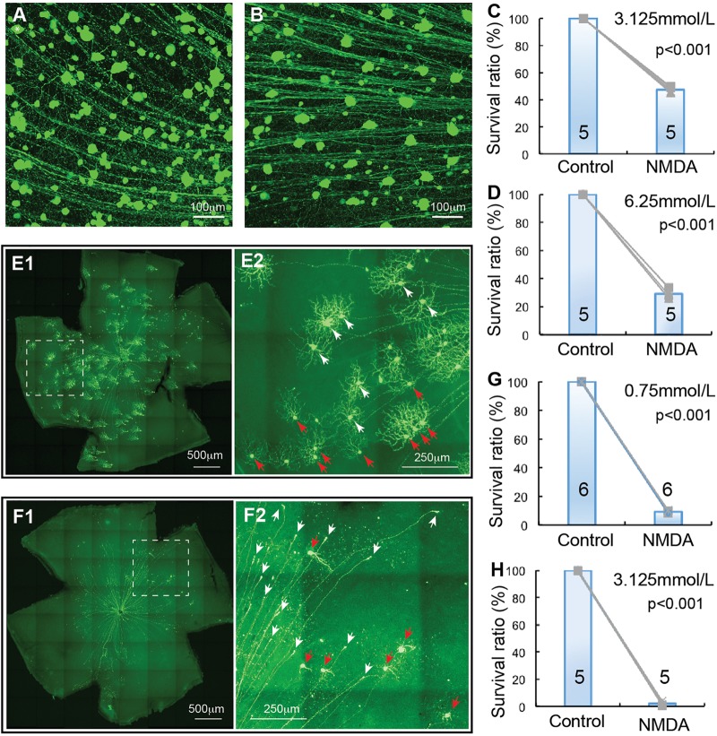 FIGURE 4