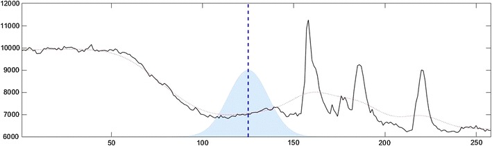 Fig. 1