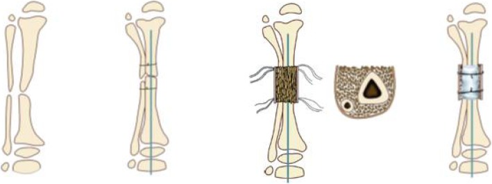 Fig. 7