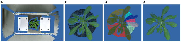 Figure 2