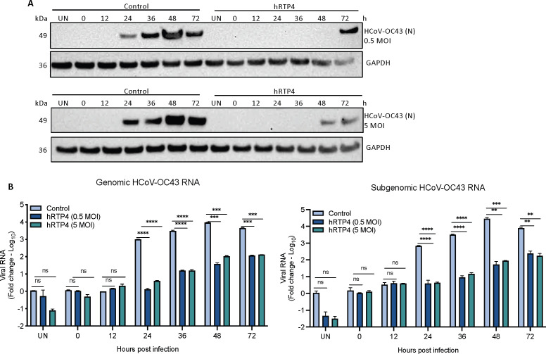 
FIG 3
