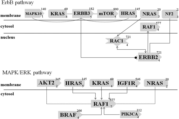 Figure 2.