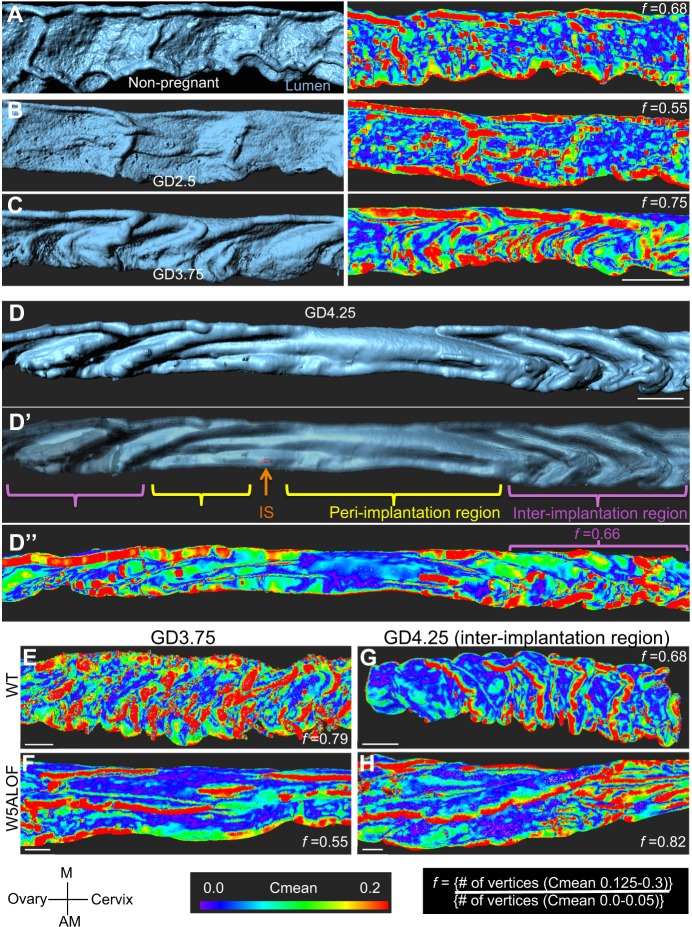 Fig. 3.